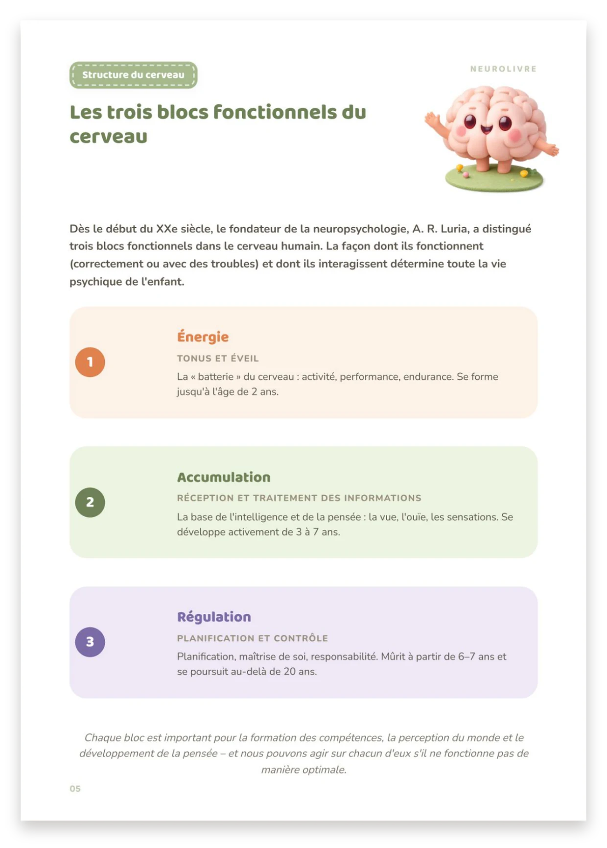 Trois blocs fonctionnels du cerveau